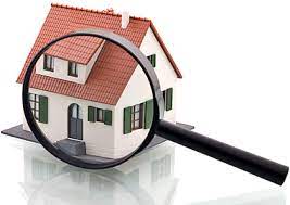 Some live for as long as 30 years. King George Termite And Pest Control Exterminators Va