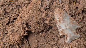 Fashion, home & garden, electronics, motors, collectibles & arts 6 Places To Find Native American Arrowheads Meateater Conservation