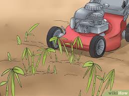 How to get rid of bamboo weedshow all. 3 Ways To Control The Spread Of Bamboo Wikihow