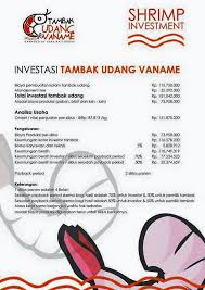 Tambak Udang Vaname Baba Rafi Infoakuakultur Com