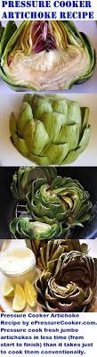 Pressure Cooker Artichoke Recipe Recipe Pressure Cooker Artichokes Cooking Recipes Healthy Electric Pressure Cooker Recipes