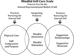 According to ayurveda, how we care for ourselves on a daily basis has an for the hot months, and for pitta types who run warm, coconut oil is a good choice. The Development And Validation Of The Mindful Self Care Scale Mscs An Assessment Of Practices That Support Positive Embodiment Springerlink