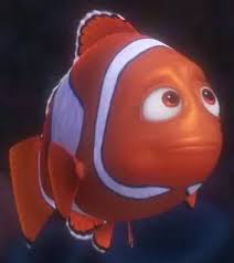 Marlin is one of the primary characters of finding nemo and its sequel finding dory. Marlin Disney Wiki Fandom
