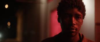 2024 Edition — Festival de Cine del Valle de Guadalupe®