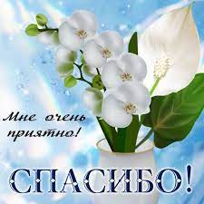 Открытка "Мне очень приятно! Спасибо!"