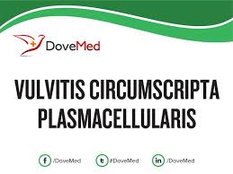 Image result for Vulvitis