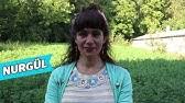 Check spelling or type a new query. Dedemin Fisi Hicri Circi Youtube