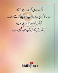 Pin By Soomal Mari On Urdu Quotations Inspirational Quotes True Words