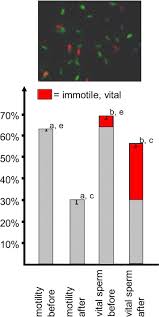 Cryopreservation of spermatozoa in alginic acid capsules