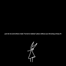 Ive had enough : rHollowKnightMemes