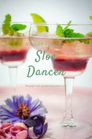 Sloe Dancer Kleiner Feiner Vorgluh Cocktail Fur Coole Sommerabende Cocktail Cocktail Rezepte Schlehen
