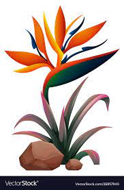 Bird Of Paradise Flower On White Background Illustration Download A Free Preview Or High Quality Adobe In 2021 Flower Painting Digital Borders Design Go Green Posters