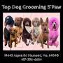 TopDog Grooming S'Paw from m.facebook.com