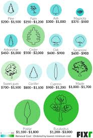 2021 Tree Removal Cost Cost To Cut Down A Tree