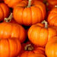 Clay Pumpkin Workshop (ECC2511) event image