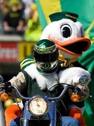 Pin On The Duck Friends