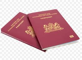 It's quite common knowledge that an id card or passport are important identity documents and even more so when being used to identify travelling guests. Netherlands Dutch Passport Travel Visa Png 800x600px Netherlands Chinese Passport Dutch Dutch Identity Card Dutch Nationality