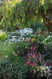 A Garden Evolves Year After Year Small Cottage Garden Ideas Small Garden Design Garden Plann In 2020 Small Cottage Garden Ideas Garden Planning Garden Tools Design