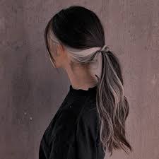 Pin By Math On T H E I N T E R N E T Hair Styles Hair Color Underneath Hair Color Streaks