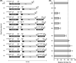 Image result for White 1998 AAV