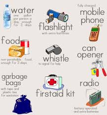Turnkey 111 Things To Have Handy In The Event Of An Emergency Disaster Supplies Kit Disaster Kits Earthquake Emergency Kit