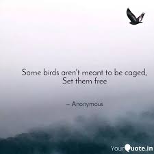 Please review, this is my first story and would like to get better at this stuff. Some Birds Aren T Meant T Quotes Writings By Mayank Yourquote