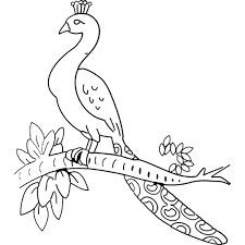Peacocks are regarded as one of the most beautiful birds in the entire world. Peacock Coloring Pages