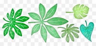 Search through our collections & bundles of watercolor drawings, doodles, sketches and so much more. Watercolor Tropical Leaves Png Watercolor Tropical Leaves Png Tropical Leaves Png Free Transparent Png Images Pngaaa Com