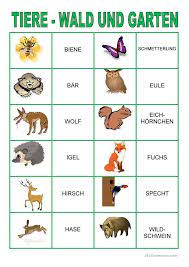 Memo spiel ausdrucken memokarten abc. Memory Spiel Tiere Im Wald Und Garten Memory Spiele Tiere Spiele