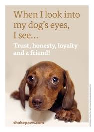 When I Look Into The Eyes Of An Animal When I Look Into My Dog S Eyes I See Trust Honesty Loyalty And A Friend Funny Dog Signs Dog Eyes Dog Quotes