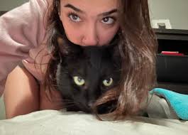 Lost cat Squibbie in Oak Bluffs found