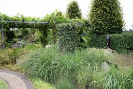 Efeu Graser Zufahrt Gartenreise Holland Garten Gras Zufahrt