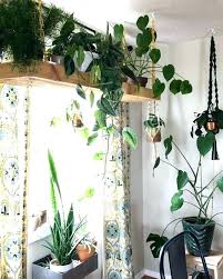 Indoor Hanging Baskets Indoor Hanging Planter Best Indoor Hanging Planters Ideas On Hung Vs Hanged Plant Decor Indoor Hanging Plants Diy Hanging Plants Indoor