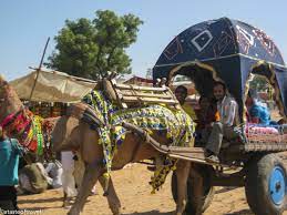 The best time to visit pushkar is from october to march, when the weather. Pushkar S Camel Fair A Taste Of Travel