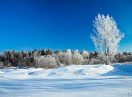 If you love this great state, join others. Nebraska Winter Pests Omaha Pest Control