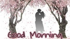 Good morning love. every morning i get to cuddle with someone whose life revolves around me. 141 Romantic Good Morning Images For Love Couple Hd Best Status Pics