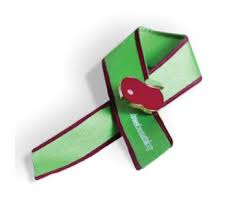 We did not find results for: Bowel Cancer Awareness Ribbon Bowel Cancer Australia
