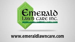 Maybe you would like to learn more about one of these? Rolling Meadows Lawn Care Company And Lawn Care Service Lawn Care Northwest Chicago Suburbs Pest Control Tree Care And Shrub Care Lawn Care Servicing Rolling Meadows Arlington Heights Des Plaines Barrington South