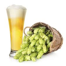 Es un ingrediente indispensable en la elaboración de cerveza. Lupulo Www Cocinista Es