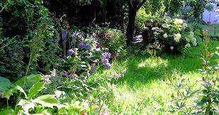 Der garten wird zu einem beliebten rückzugsort, wo wir der hektik des alltags entfliehen und uns inmitten lauschiger pflanzen entspannen können. Pflanzen Fur Schatten Halbschatten Und Absonnige Standorte Mein Schoner Garten