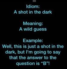 A Shot In The Dark Vocabulary Sentences Learn English English Idioms