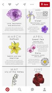 Pin On Flower