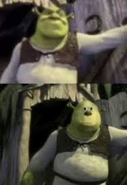 Make your own images with our meme generator or animated gif maker. Shocked Shrek Face Swap Blank Template Imgflip