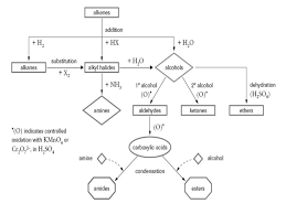 Levels Of Biological Organization From Smallest To Largest Ppt Organic Chemistry Synthesis Of Organic Compounds Ppt Download 960x720 Jpeg Organic Chemistry Organic Chemistry Reactions Chemistry