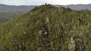 Image result for tbn:Qm8QJA0FQGkeJM::www.trekkingchile.com/Images/mis_fotos/1201890604.jpg