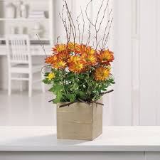 Discover recipes, home ideas, style inspiration and other ideas to try. Maureen S Buffalo Wholesale Flower Market