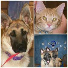 For best friends zu bestpreisen. Veterinarian In Galesville Wi Best Friends Pet Clinic
