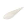 Bagasse Small Spoon from www.biosettings.com