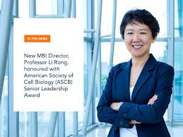 Check spelling or type a new query. Awards Mechanobiology Institute National University Of Singapore