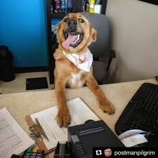 Maybe you would like to learn more about one of these? The Pet Spa 13 Photos 16 Reviews Pet Groomers 79 S Main St Marlboro Nj Phone Number Yelp